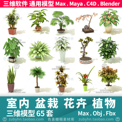 室内盆栽多肉植物花卉仙人掌菠萝树3d三维模型mayamaxc4dBlender