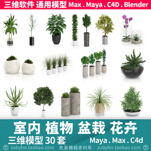 室内植物盆栽花卉花瓶3d模型三维模型35套mayamaxc4dblender