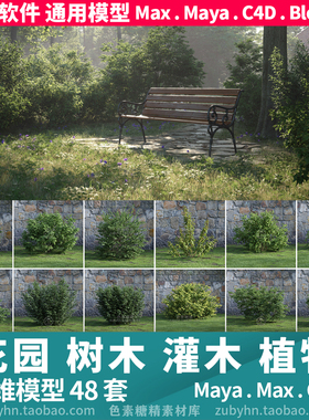 小院花园林建筑装饰植物灌木花草48套3d三维模型mayamaxc4dblende