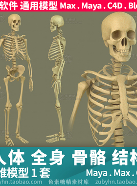 人体全身骨骼3d型三维模型1套maya3dmaxc4dblender