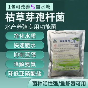 水产枯草芽孢杆菌种原种枯草芽孢菌杆菌水产养殖改良水产用