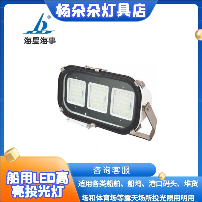 海星牌 船用LED投光灯TG20-L不锈钢大功率投光探照灯强光50W100W