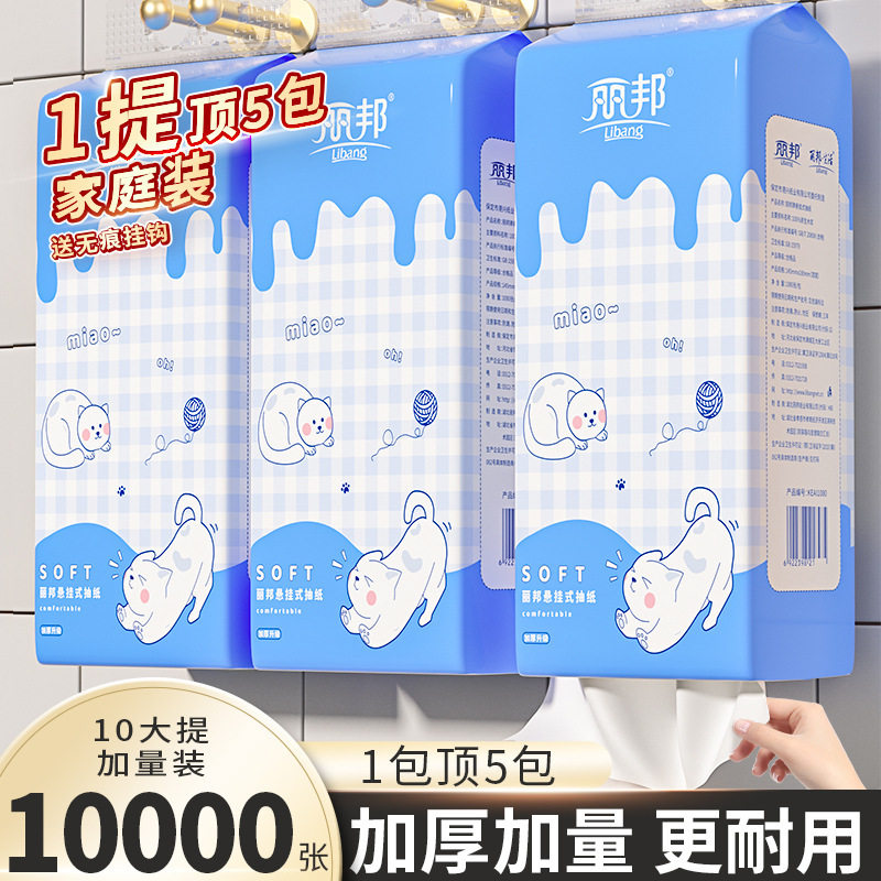 丽邦可爱款悬挂式底部抽纸巾4层250抽10提箱装家庭装卫生纸