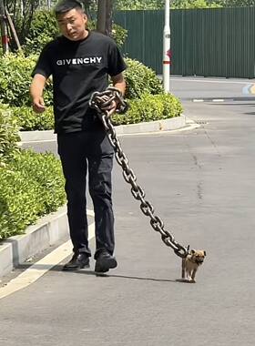 仿真塑料粗狗链大铁链子搞笑整蛊恶搞遛狗宠物用品牵引绳抖音同款