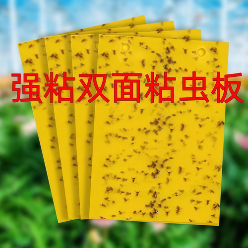 双面黄板粘虫板大棚农用家用花园