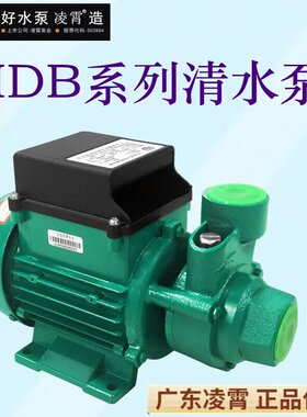 广东凌霄1DB35 -B 家用清水泵 330W 抽水泵 抽水机 IDB-35 0.33KW