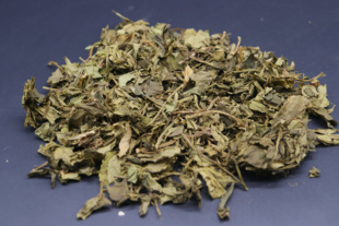 植物煉金術(shù) 靈香草傳統(tǒng)工藝廣西產(chǎn)地香氣更好 零陵香
