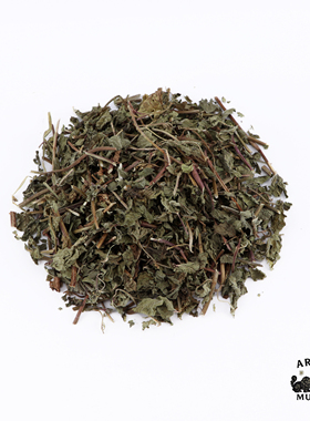 香料博物馆 留兰香 spearmint 香薄荷绿薄荷