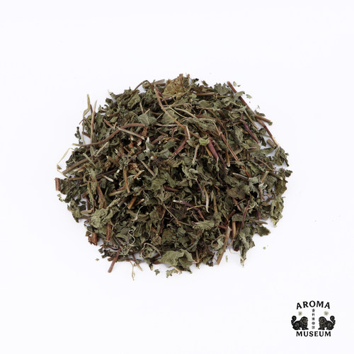 香料博物馆 留兰香 spearmint 香薄荷绿薄荷
