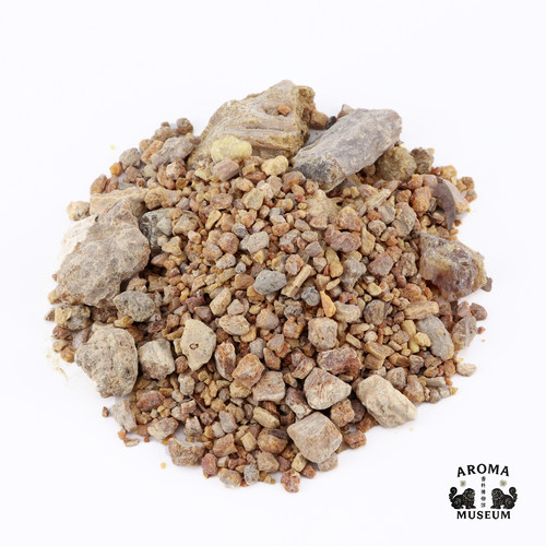 香料博物馆 娑罗树脂Sal resin 合香制香原材料