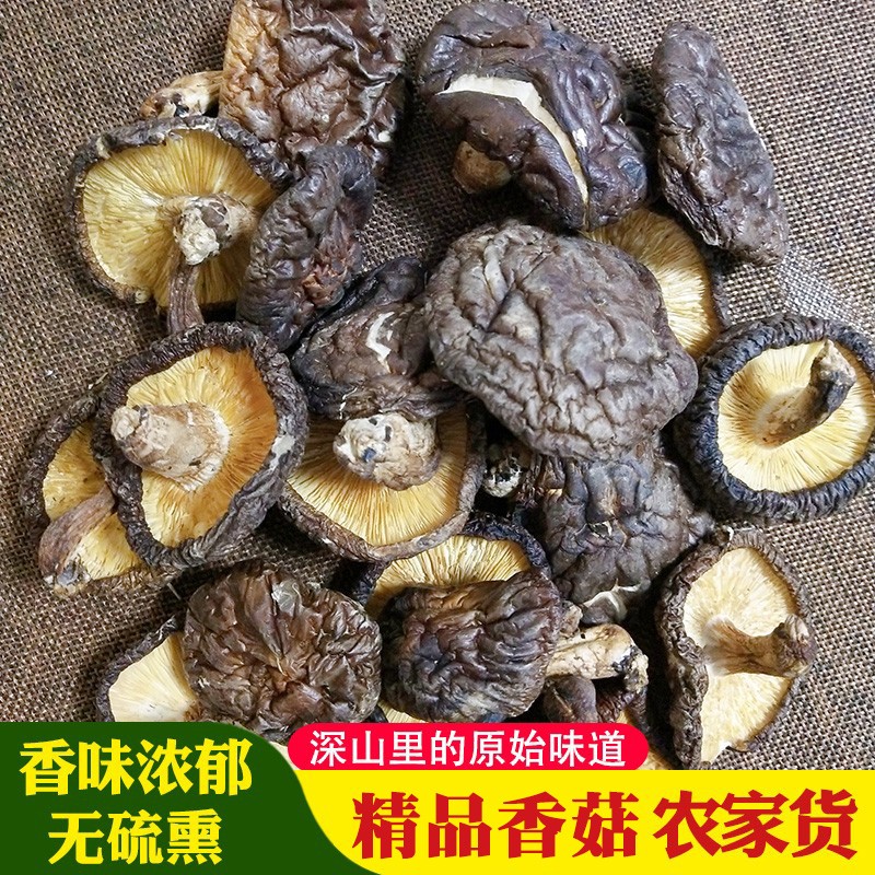 江西特产天然野生肉厚小香菇包邮