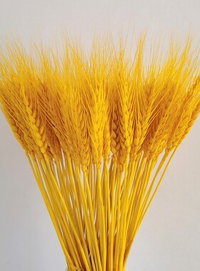 黄金麦穗干花大麦花束装饰客厅金色小麦送礼插花瓶仿真花摆件开业