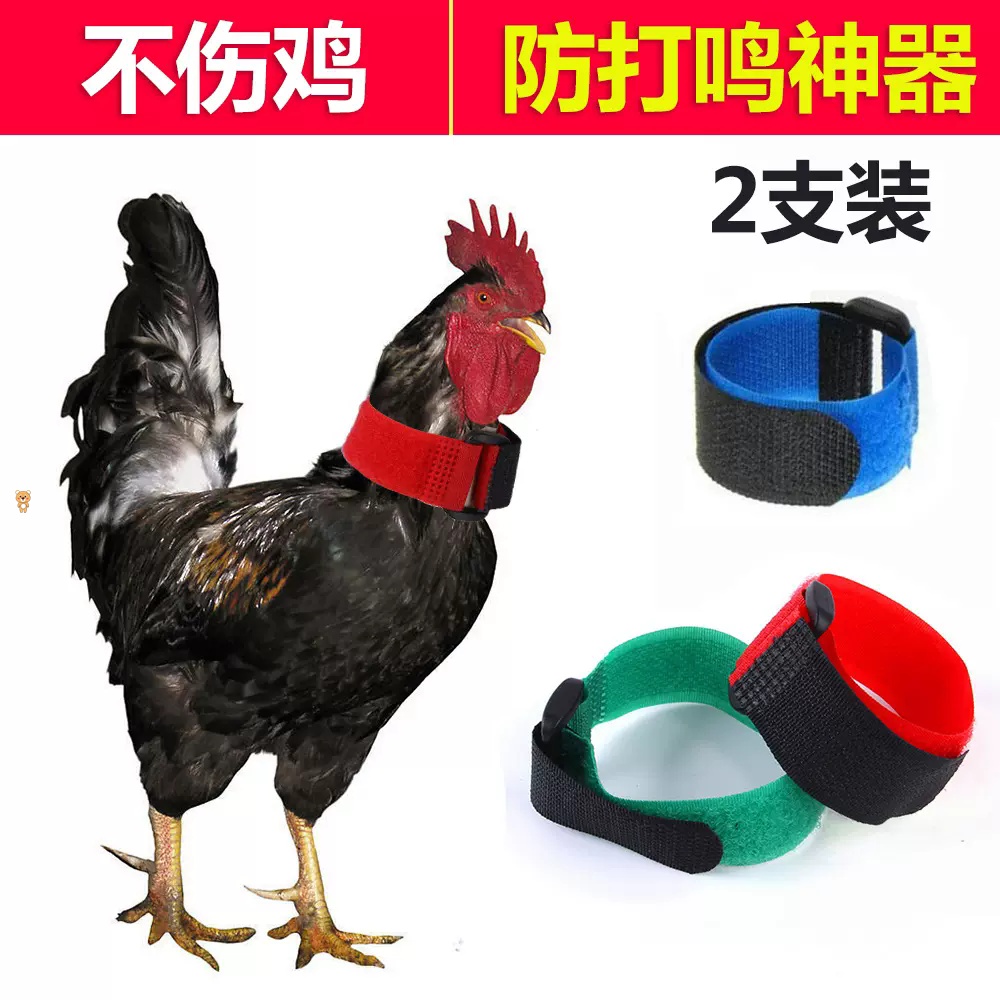 防鸡打鸣神器防孔雀打鸣带