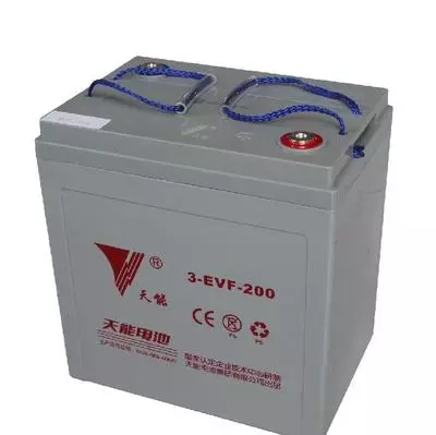 天能观光车蓄电池