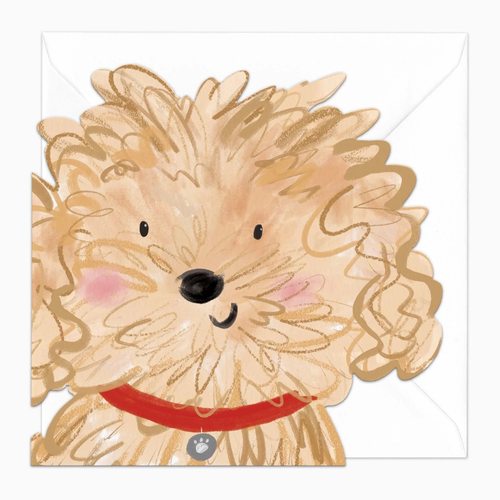 人，来和我一起过生日