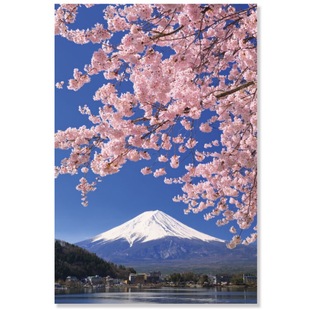 「SHUNA」一期一会樱花季 日本原版春天富士山风景写真明信片