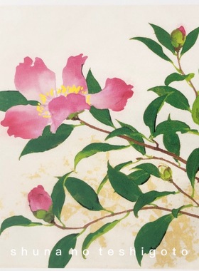 「SHUNA」优雅而有力的四季之花 川端龙子新日本画原版明信片
