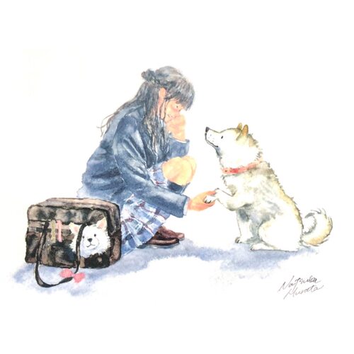 「SHUNA」只想和你在一起 日本插画家村田夏佳柴犬原版明信片 - 封面