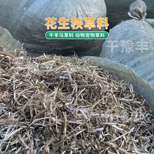 花生秧秸秆干草料牛羊马羊驼喂养