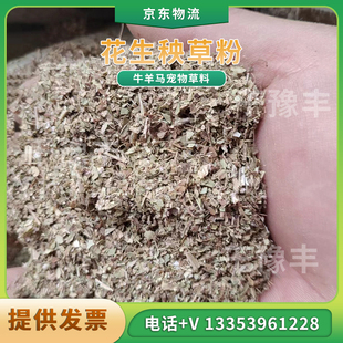 花生秧秸秆干草料粉反刍动物牛羊马驴兔鸵鸟鹅畜牧青草养殖粗饲料