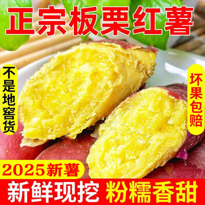 陕西板栗红薯正宗沙地红薯新鲜现挖临潼番薯粉面香甜地瓜黄心红苕