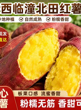 陕西临潼蜜薯板栗红薯粉糯香甜新