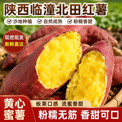 陕西临潼蜜薯板栗红薯粉糯香甜新