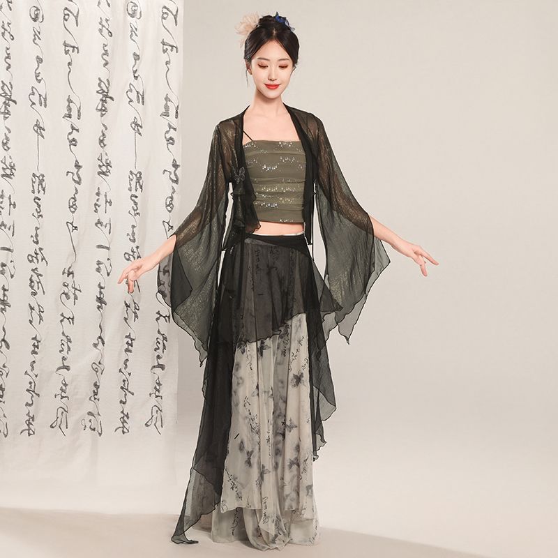 新款古典舞蹈服国风纱衣