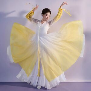 古典舞蹈演出服美丽的神