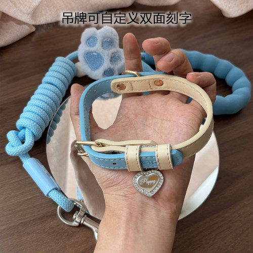 【免费刻字】宠物项圈名牌可牵引小狗防丢中小型犬可爱可调节wp3