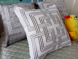 外贸全棉刺绣花靠垫抱枕套45 50X50 65X65沙发卧室办公创意民