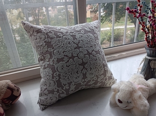 外贸满工绣花抱枕套靠垫套沙发客厅靠枕套50x50cm