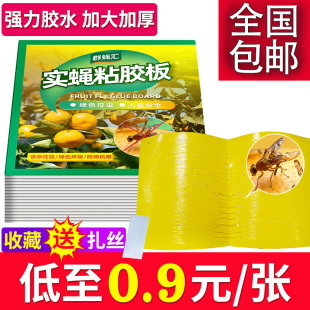 黄板双面粘虫板诱虫板瓜果实蝇针蜂贴粘胶板果蝇诱捕器引诱剂粘板