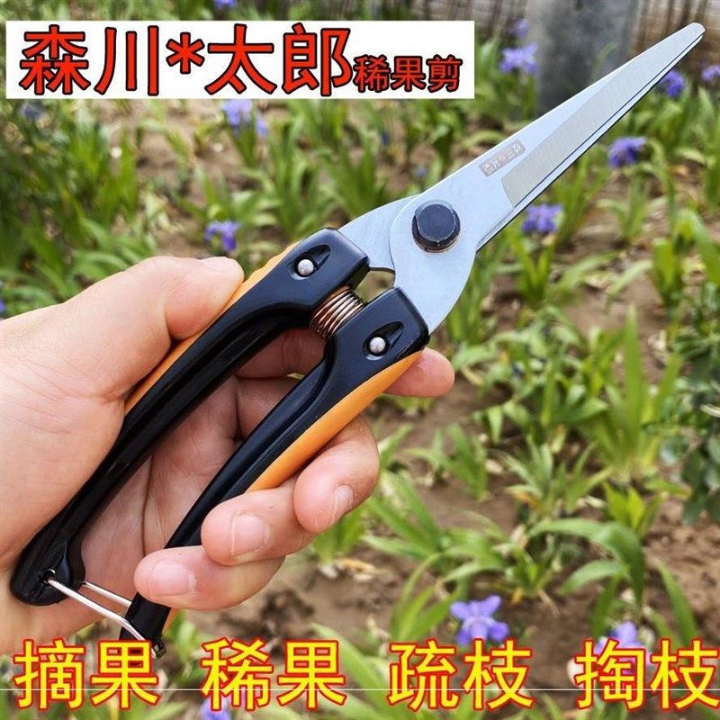 森川太郎直头稀果剪修枝采果芽修枝剪修花稀果摘果剪葡萄剪果疏果
