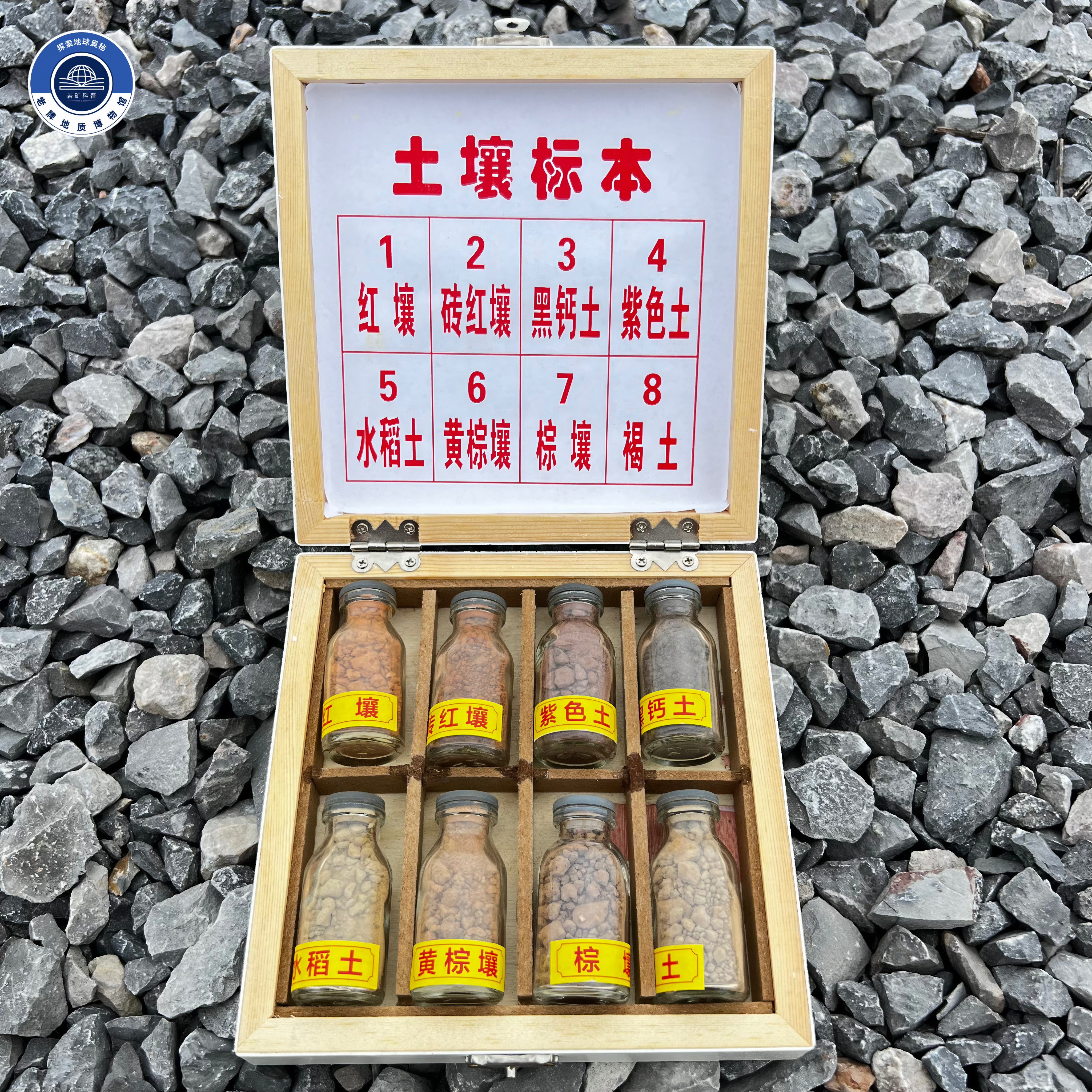 中国8种土壤标本中小学教学展示图片