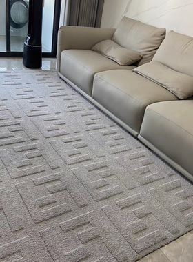 FF灰色客厅地毯沙发茶几垫子家用卧室床边商用酒店客房铺民宿定制