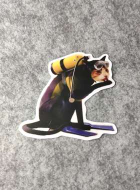 dive padi潜水爱好者装备潮流改装汽车贴摩托贴纸搞笑烫画贴D1072