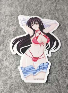 二次元日漫改装痛车摩托贴电动车老婆酱侧窗PVC烫画D1590