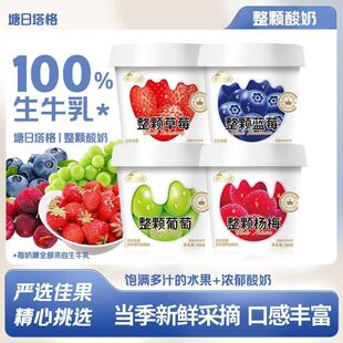 塘日塔格整颗水果酸奶草莓葡萄蓝莓杨梅牛乳发酵常温酸奶学生宿舍