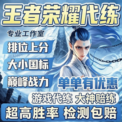 王者荣耀代打万战包时排位上分小国标战力接单工作室上星王者代练