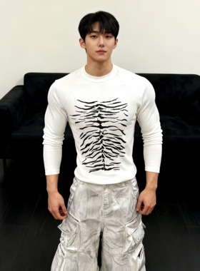 He刺野/虎斑长袖纯棉打底男美式高级肌肉男健身百搭修身紧身T恤衫