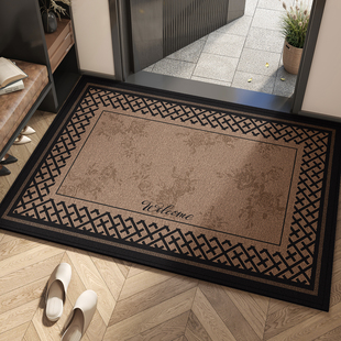 入户地垫2025新款 进门门垫家用门口耐脏防滑玄关地毯室内入门脚垫