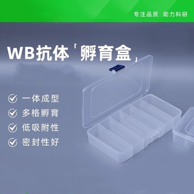 Westernblot抗体孵育盒洗膜盒脱色盒封闭盒5格6格免疫组化湿盒