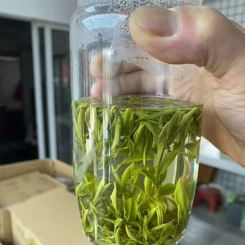 新茶高山茶兰花香毛峰一级茶