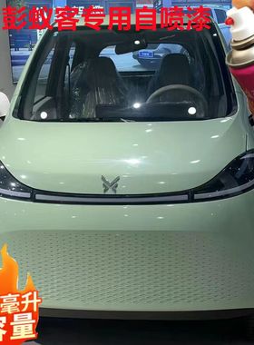 金彭蚁客电动车蓝色粉色白色自喷漆冰沙绿色划痕修补漆笔专用车漆