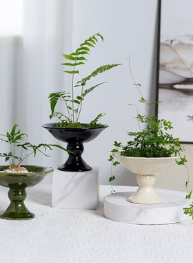 欧式高脚茶席插花陶瓷花盆白色高足禅意浴室苔鲜球盆景蕨类花盘