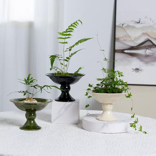 欧式高脚茶席插花陶瓷花盆白色高足禅意浴室苔鲜球盆景蕨类花盘