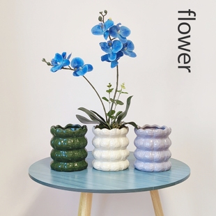 法式高级感陶瓷花瓶摆件客厅插花蝴蝶兰文心兰石斛兰简约个性花盆