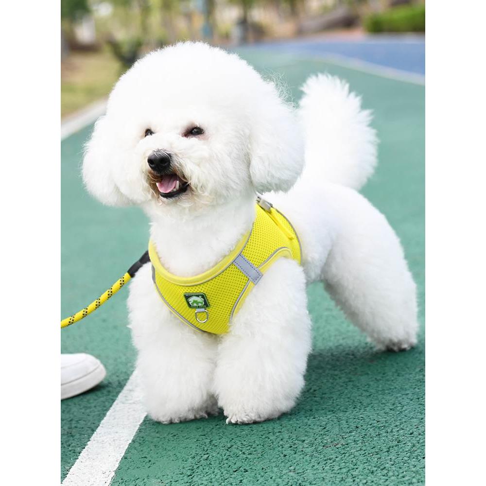 背心式狗牵引绳小型犬比