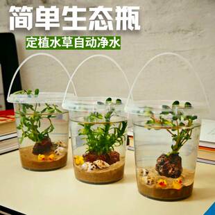 桌面生态鱼缸塑料圆柱形底柜两栖动物水草自动净水DIY手工水景瓶